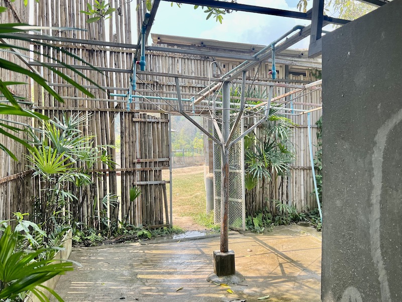 清邁大象叢林保護區 沖澡
