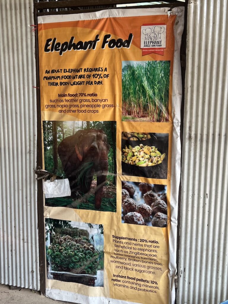 清邁大象叢林保護區 食物