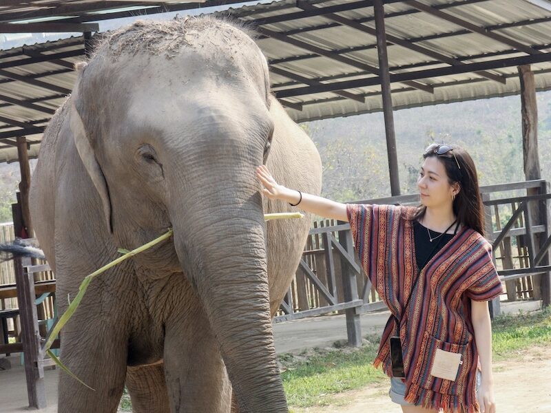 清邁大象體驗營 Elephant Jungle Sanctuary