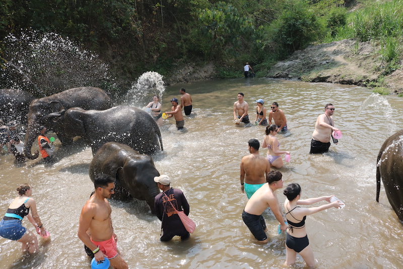 泰國清邁 大象洗澡