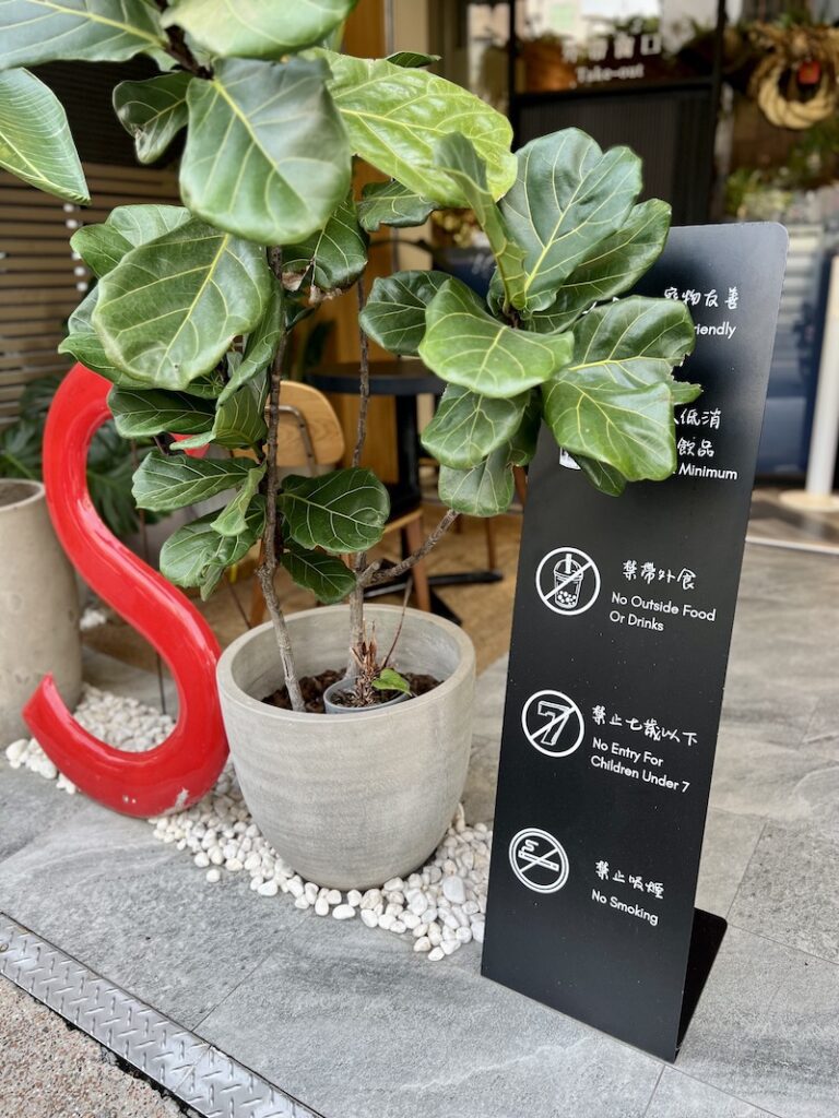 秤秤咖啡 植物