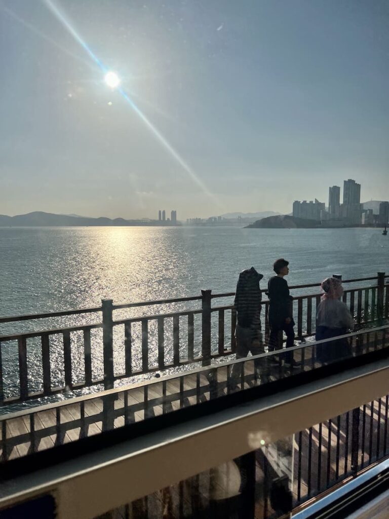 海岸列車海景