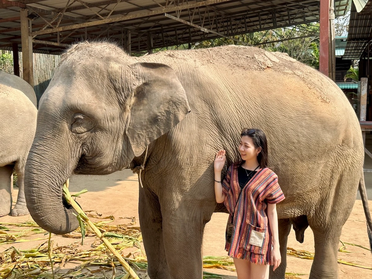 Elephant Jungle Sanctuary