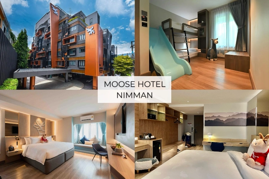 Moose Hotel Nimman