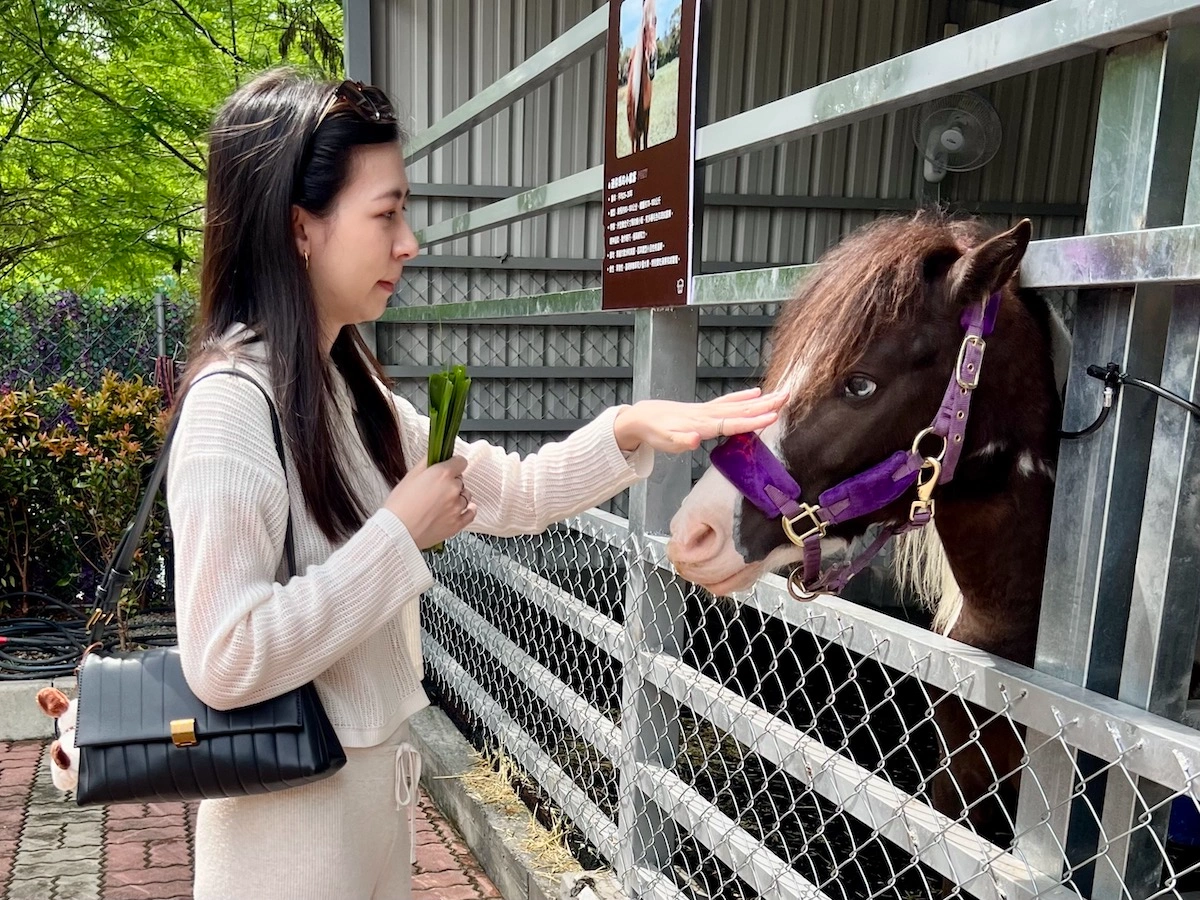 水与松萌萌園 迷尼馬餵食