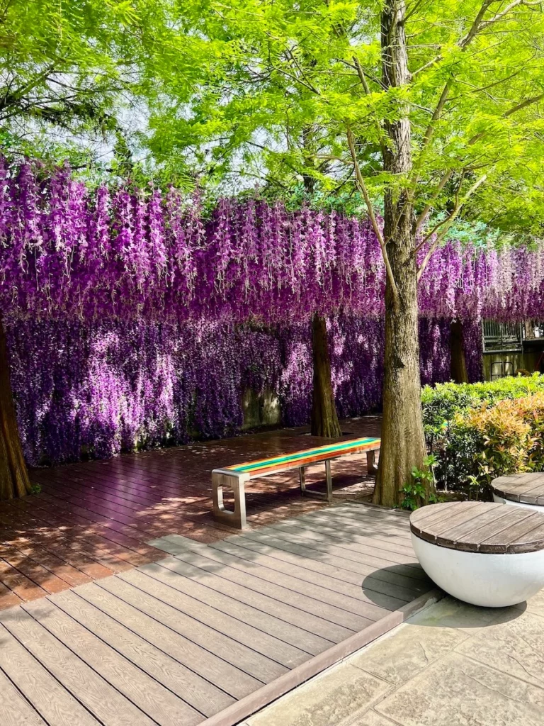 水与松萌萌園紫色花海