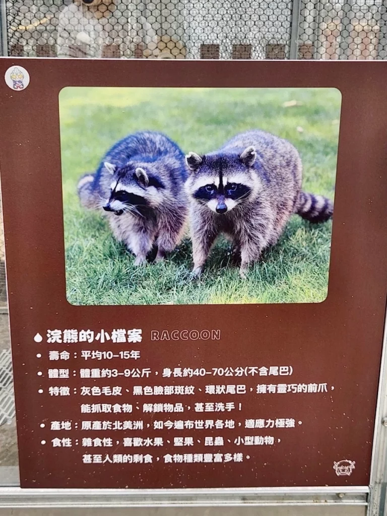 水与松萌萌園浣熊介紹