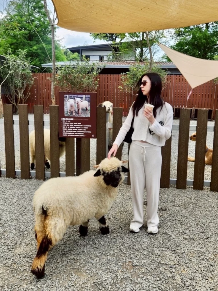 水与松萌萌園 黑鼻羊合照