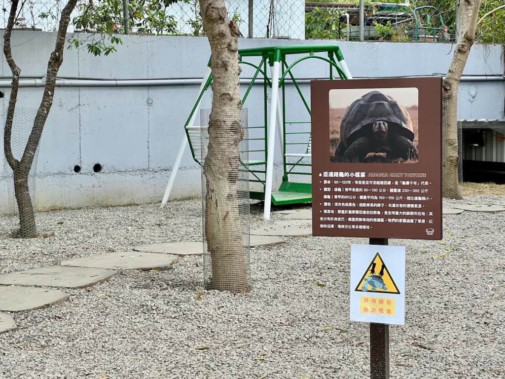 水与松萌萌園陸龜介紹