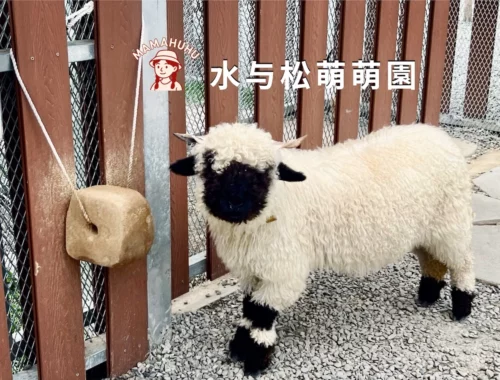 水与松萌萌園