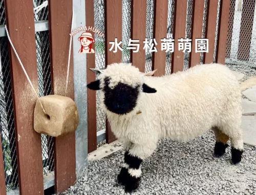 水与松萌萌園