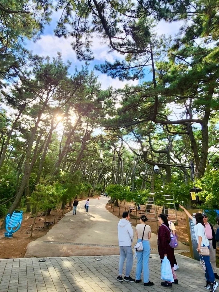 松島森林步道