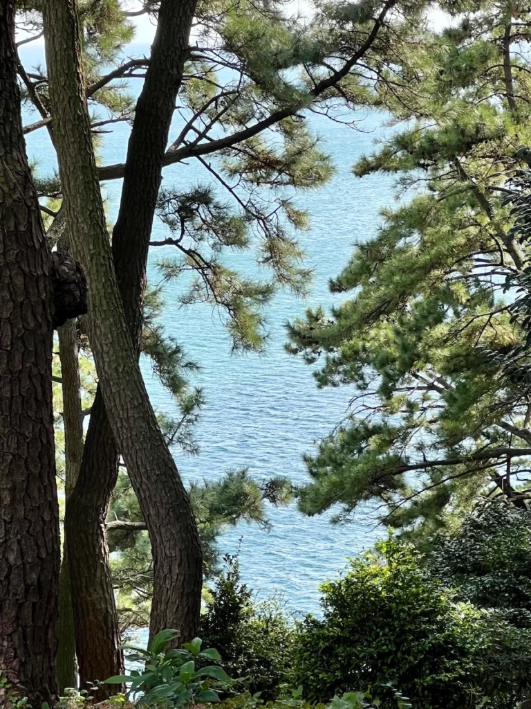 松島森林步道
