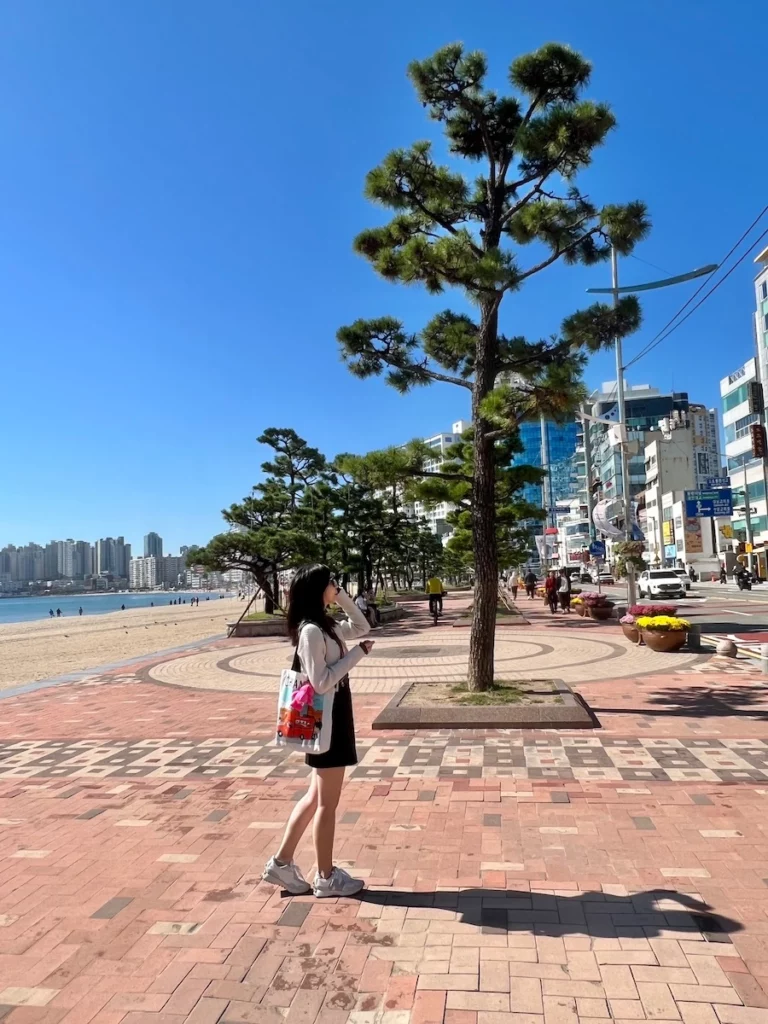 廣安里白天風景