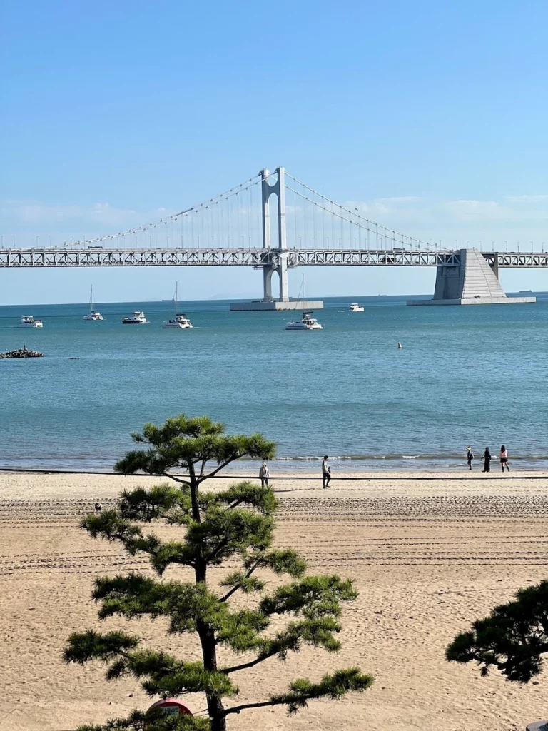 廣安大橋白天