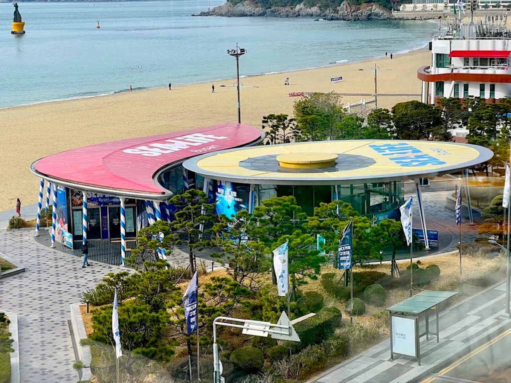 SEA LIFE 水族館