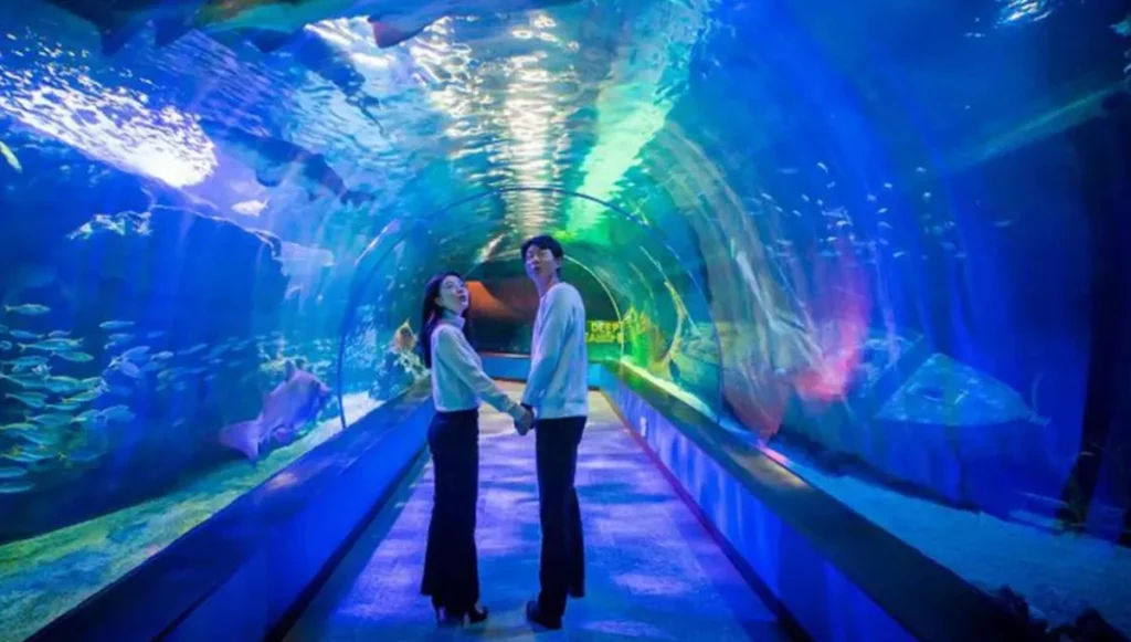 SEA LIFE 水族館