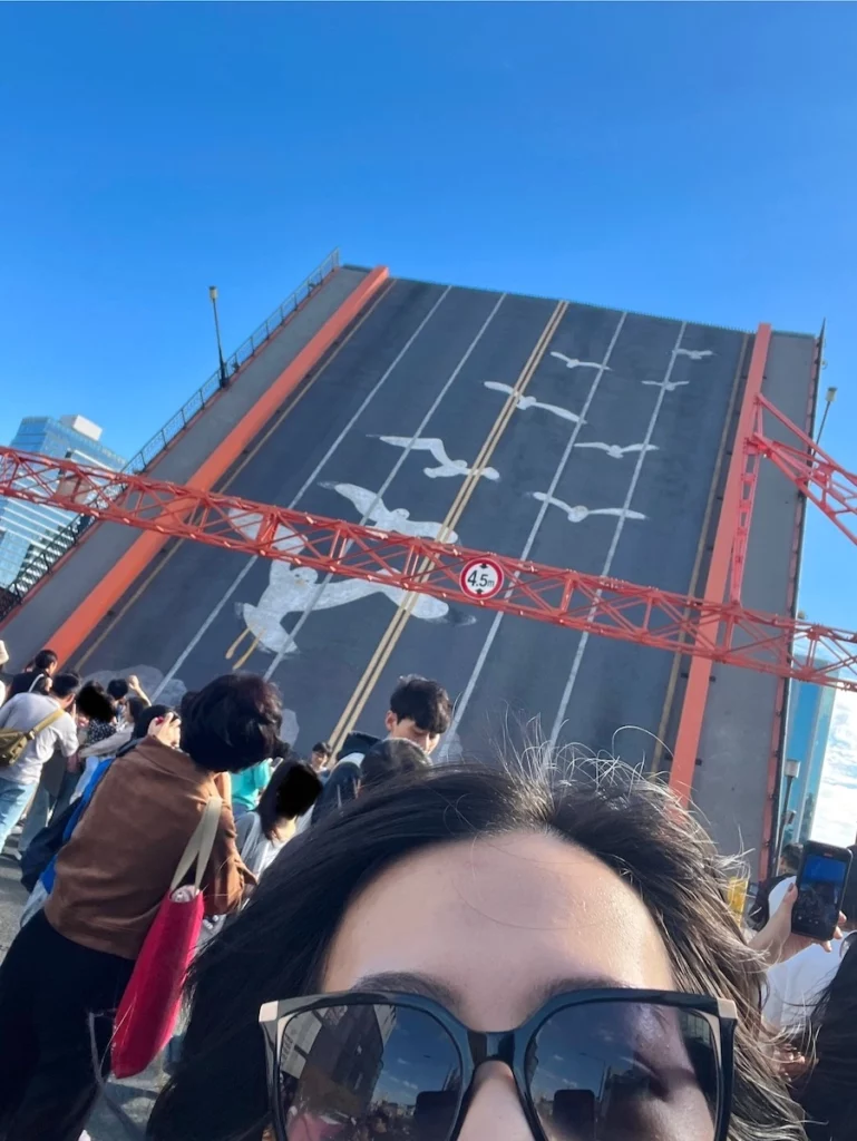 影島大橋海鷗合照