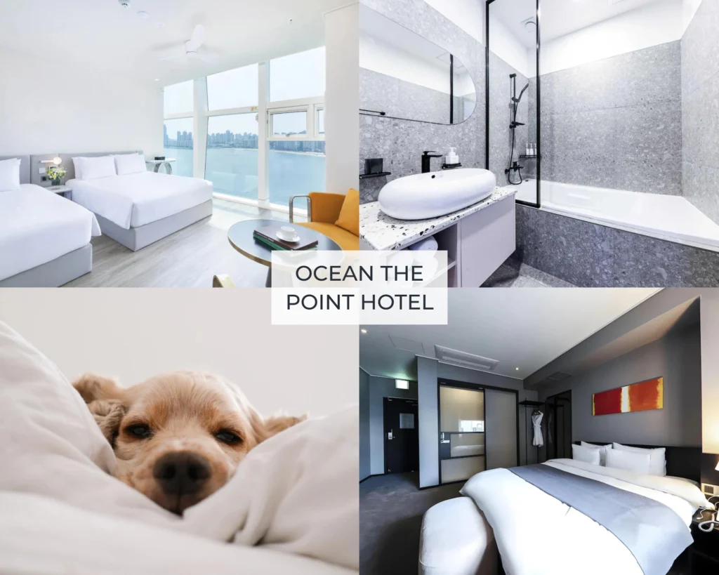 Ocean The Point Hotel