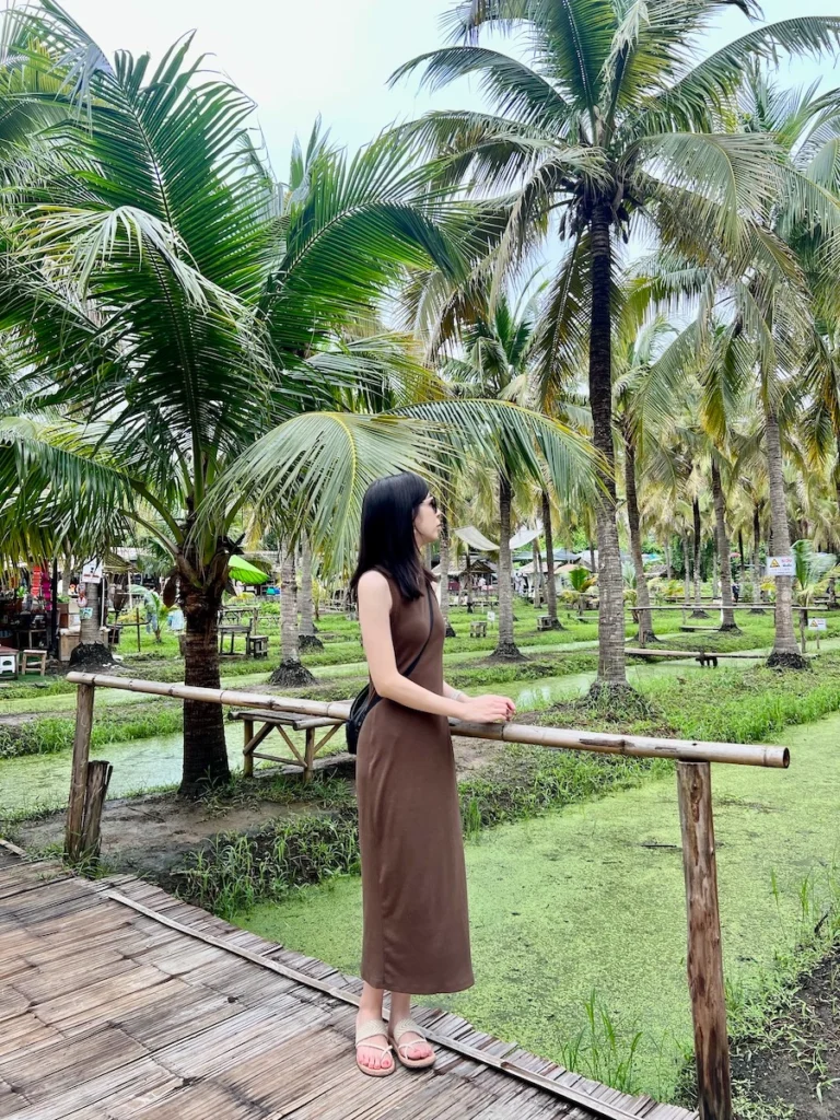 椰林市集 Coconut Market