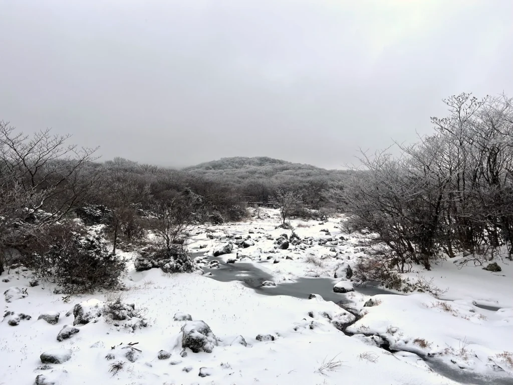 1100高地濕地冬天雪景