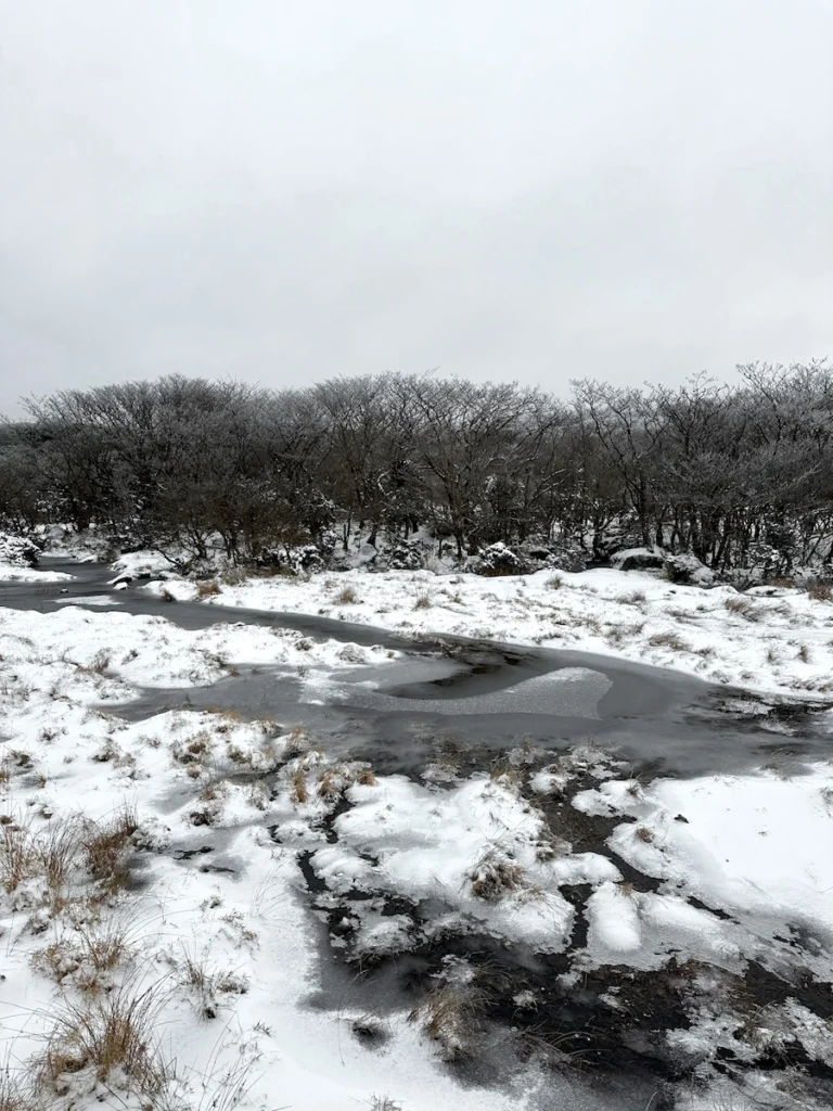 1100高地濕地冬天雪景