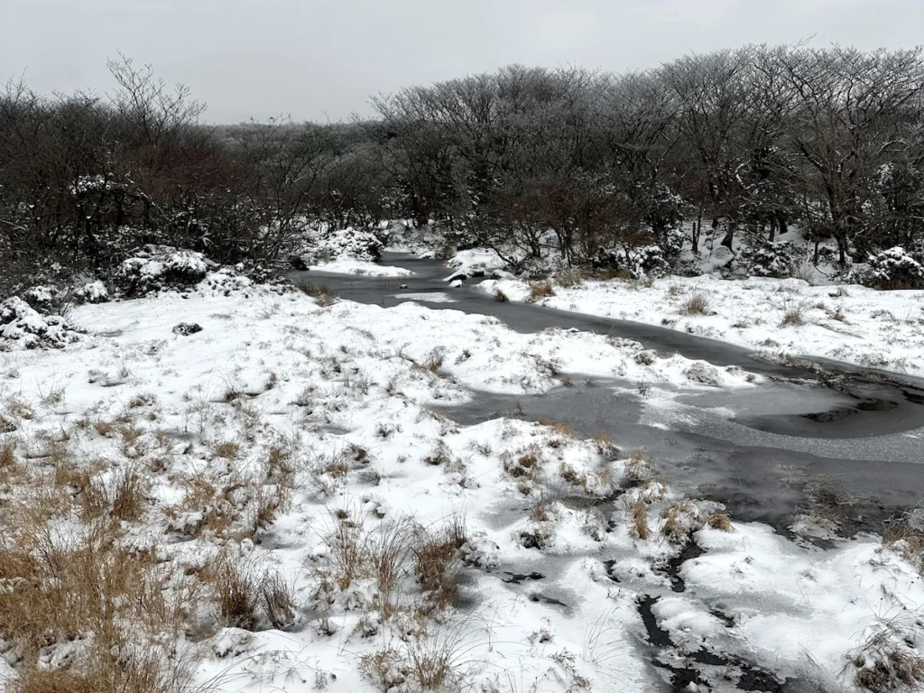 1100高地濕地積雪