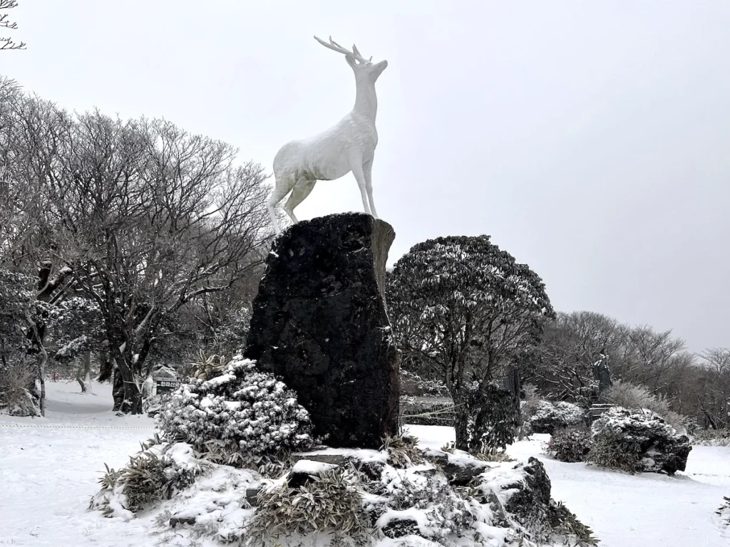 1100高地白鹿像