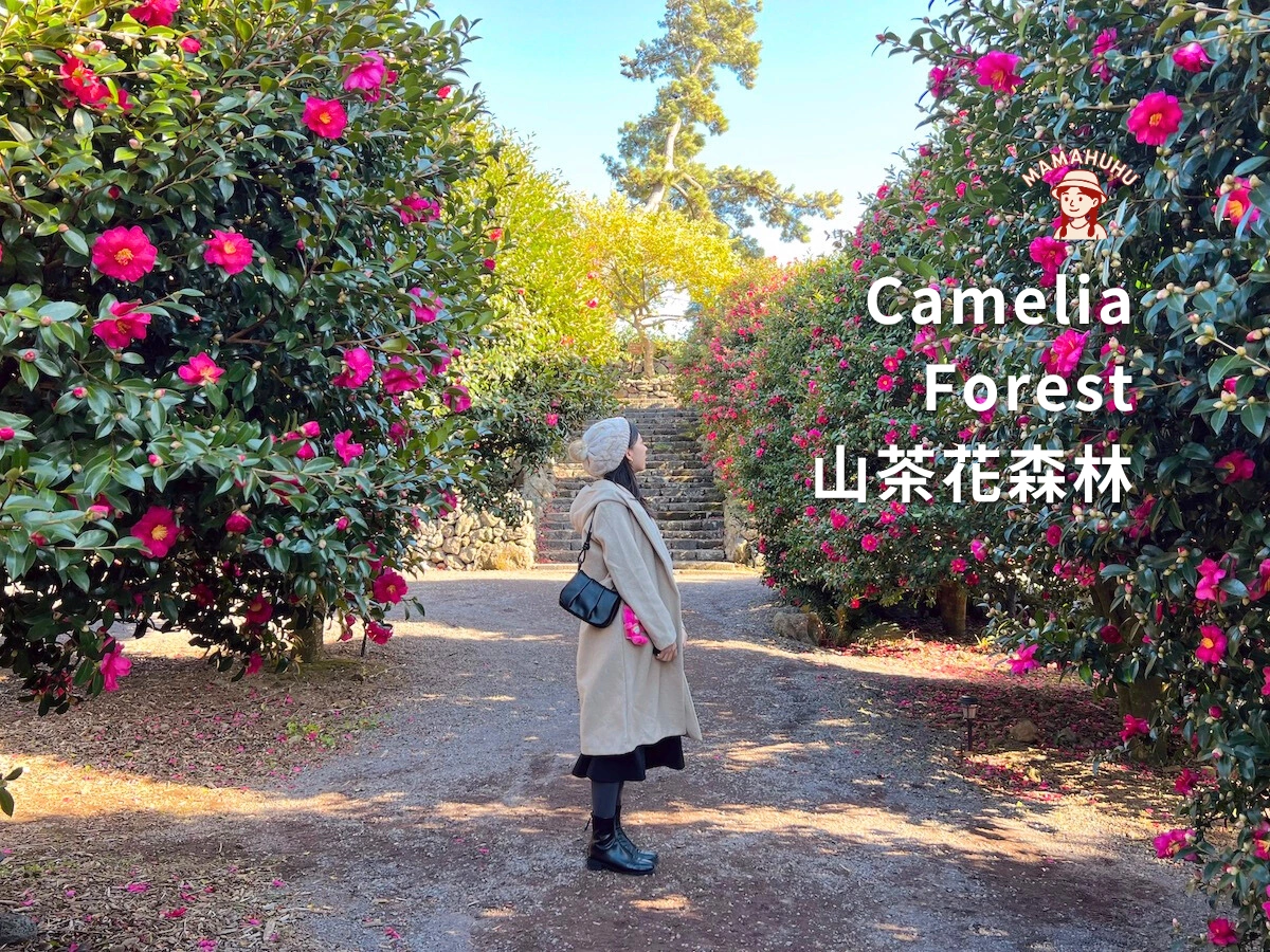 Camelia Forest 濟州島山茶花森林