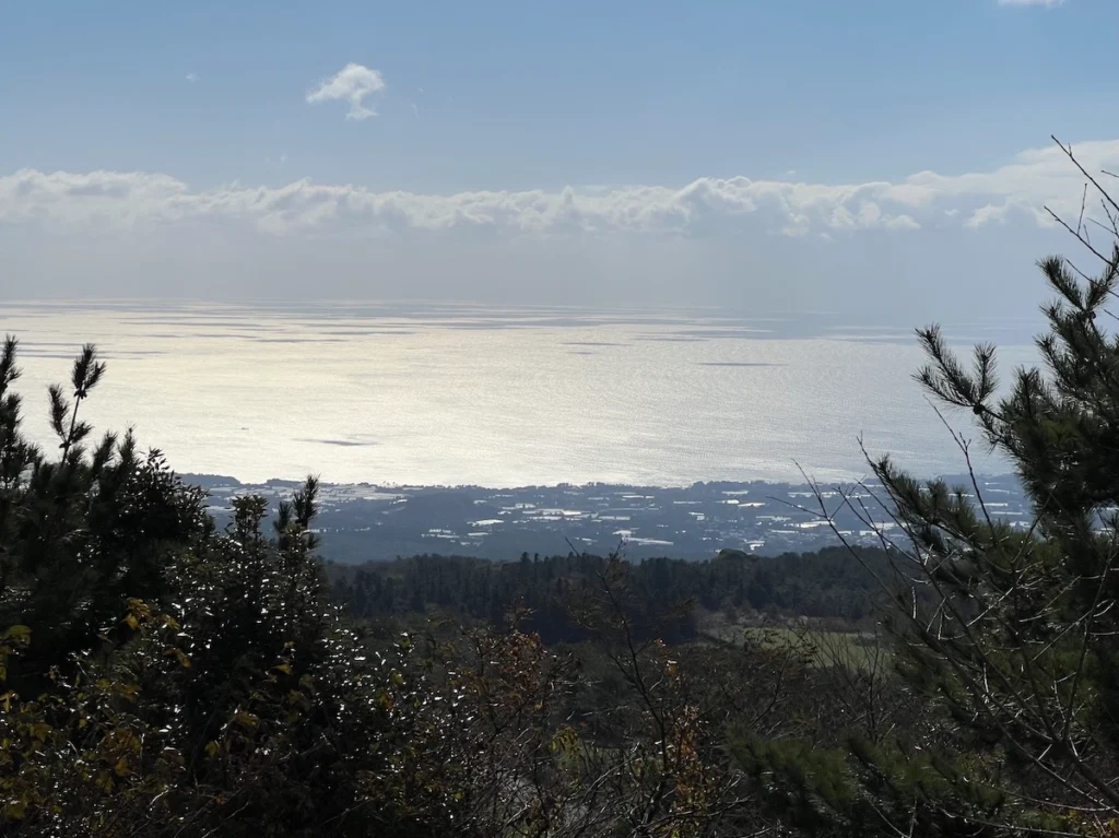 거린사슴전망대 濟州島觀景台