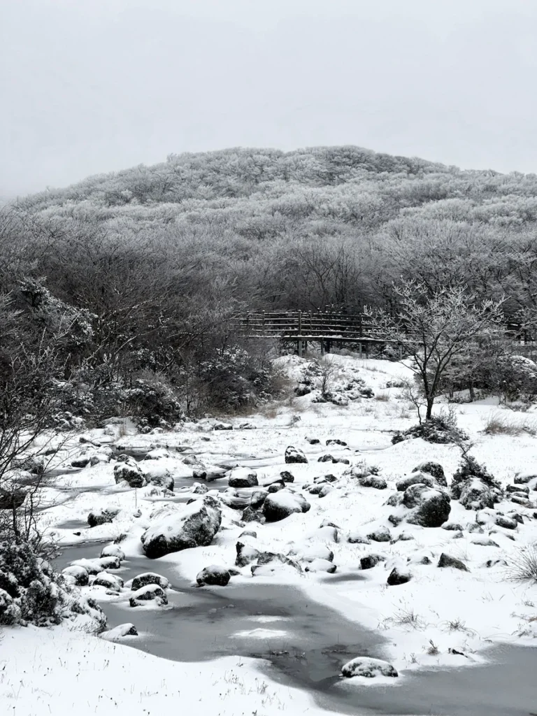1100 高地濕地與漢拏山
