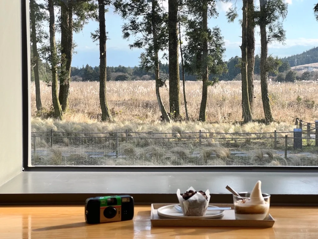 Blue Bottle Jeju 濟州藍瓶咖啡