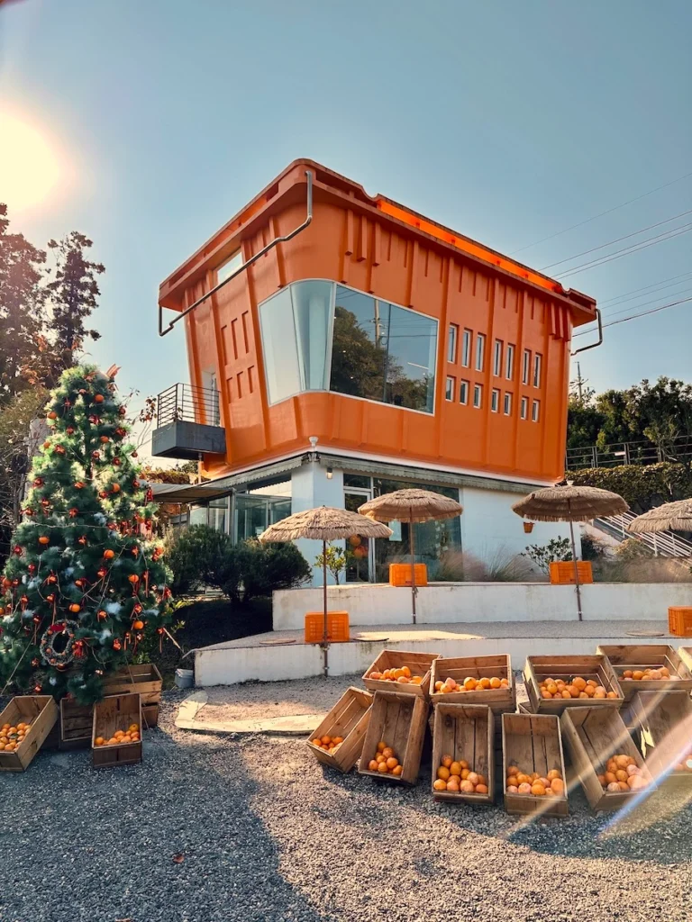 cafe the container 濟州島橘子咖啡廳