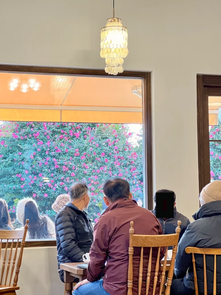 Camelia Forest 濟州島山茶花森林