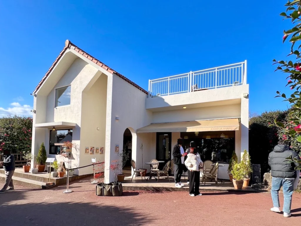Camelia Forest Cafe 濟州島山茶花森林咖啡廳