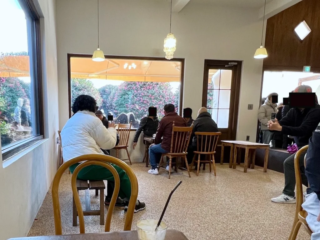 Camelia Forest Cafe 濟州島山茶花森林咖啡廳 室內座位