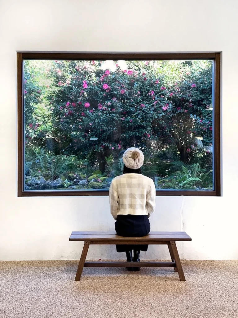 Camelia Forest 山茶花咖啡廳畫框窗景