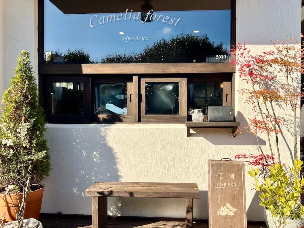 Camelia Forest Cafe 濟州島山茶花森林咖啡廳