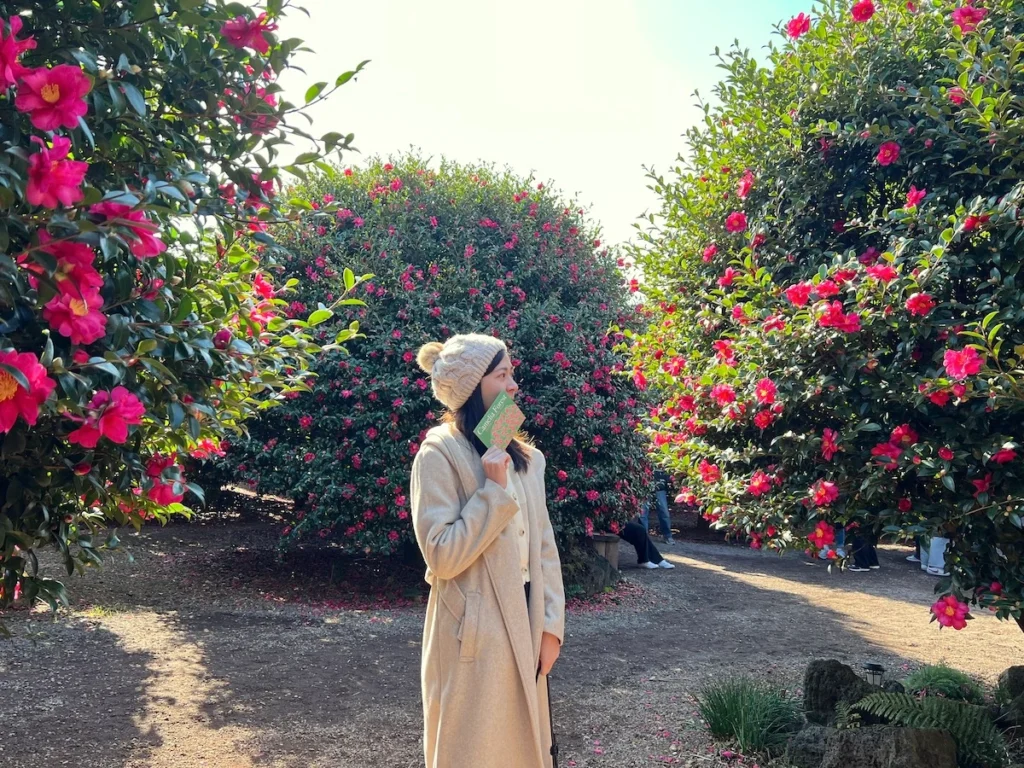 Camelia Forest 濟州島山茶花森林