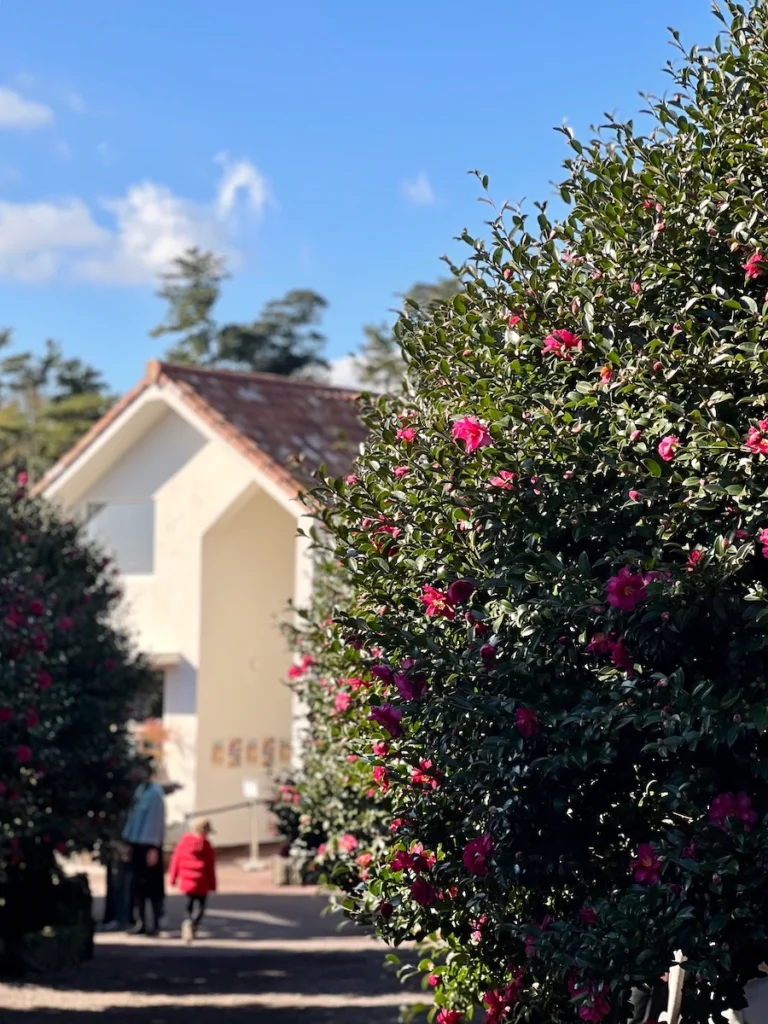 Camelia Forest 濟州島山茶花森林小屋