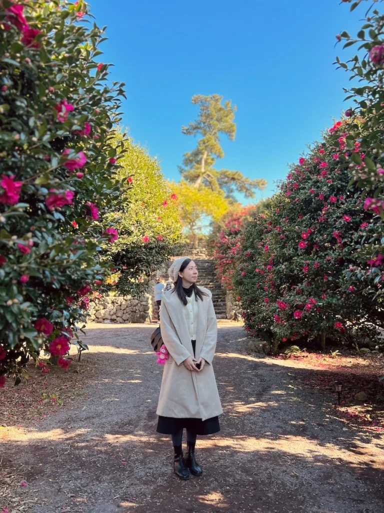 Camelia Forest 濟州島山茶花森林