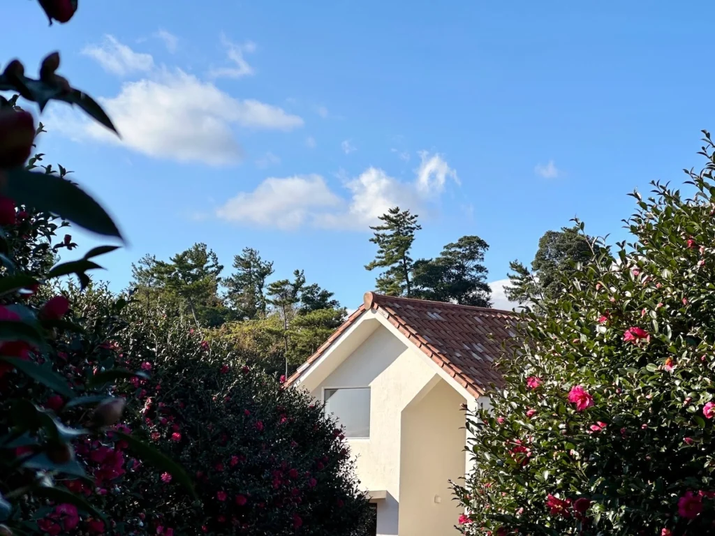 Camelia Forest 濟州島山茶花森林咖啡廳