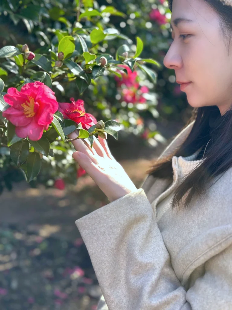 Camelia Forest 濟州島山茶花森林