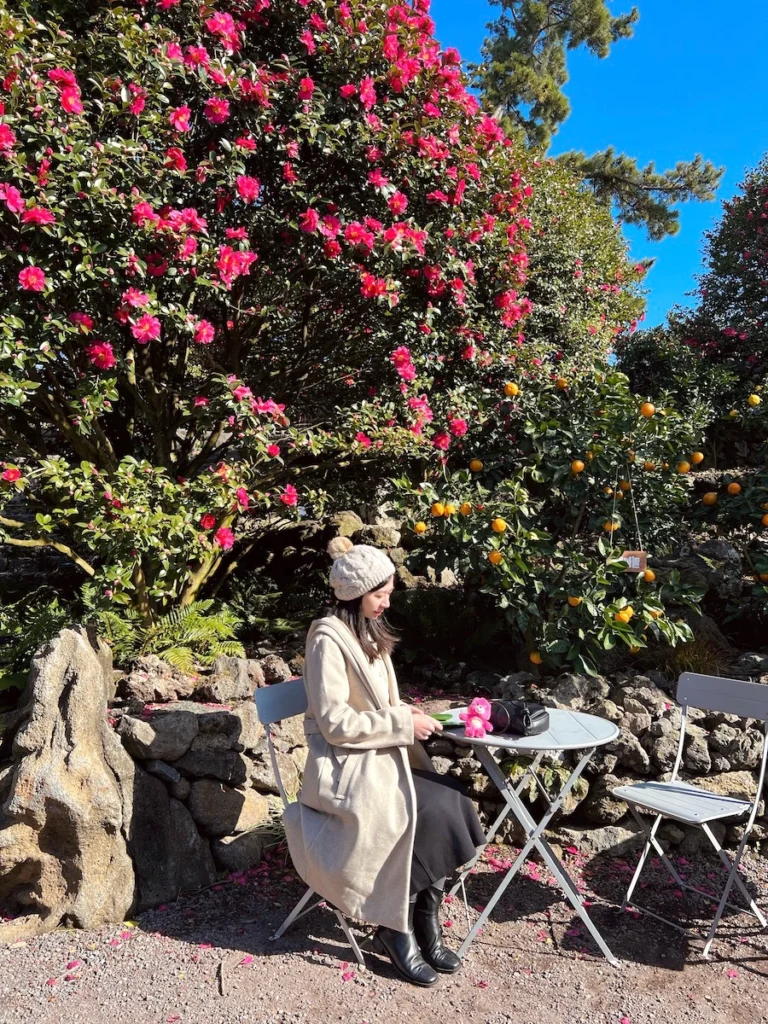 Camelia Forest 濟州島山茶花森林戶外座位