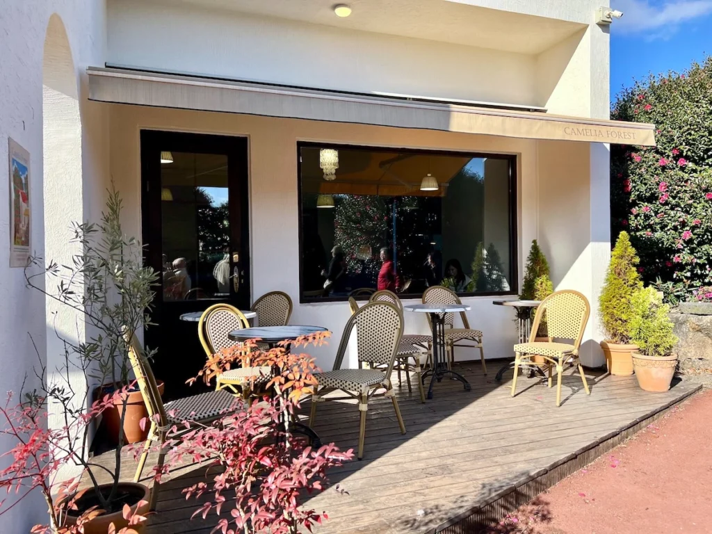 Camelia Forest Cafe 濟州島山茶花森林咖啡廳