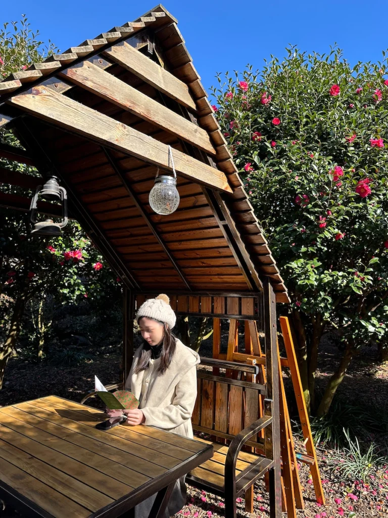 Camelia Forest 濟州島山茶花森林戶外座位