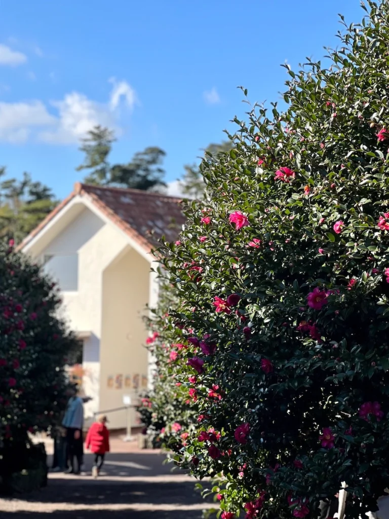 Camellia Forest 山茶花森林咖啡廳