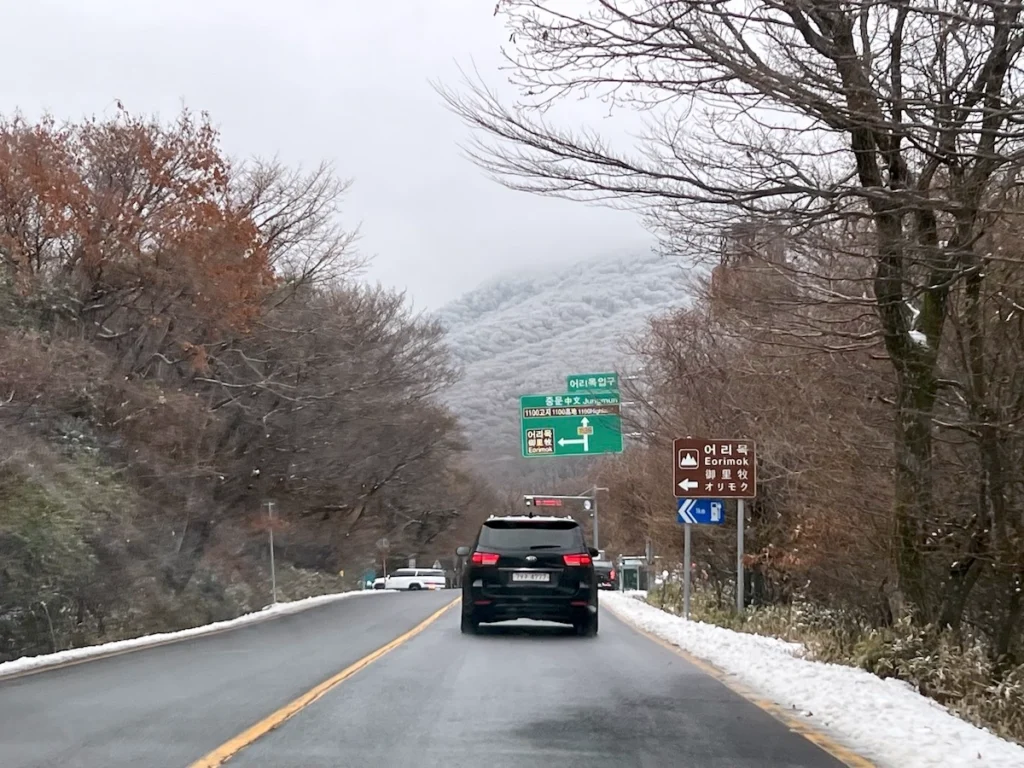 1100道路上山