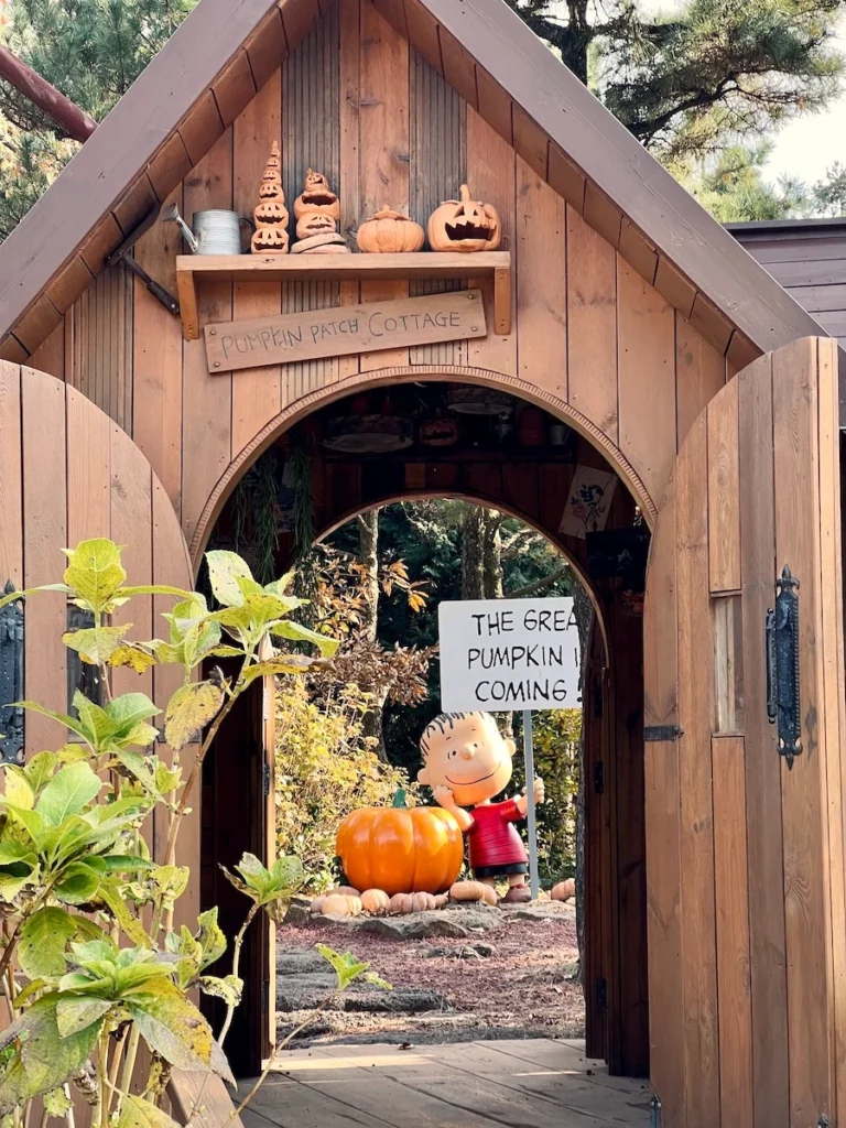 snoopy garden jeju 史努比南瓜園