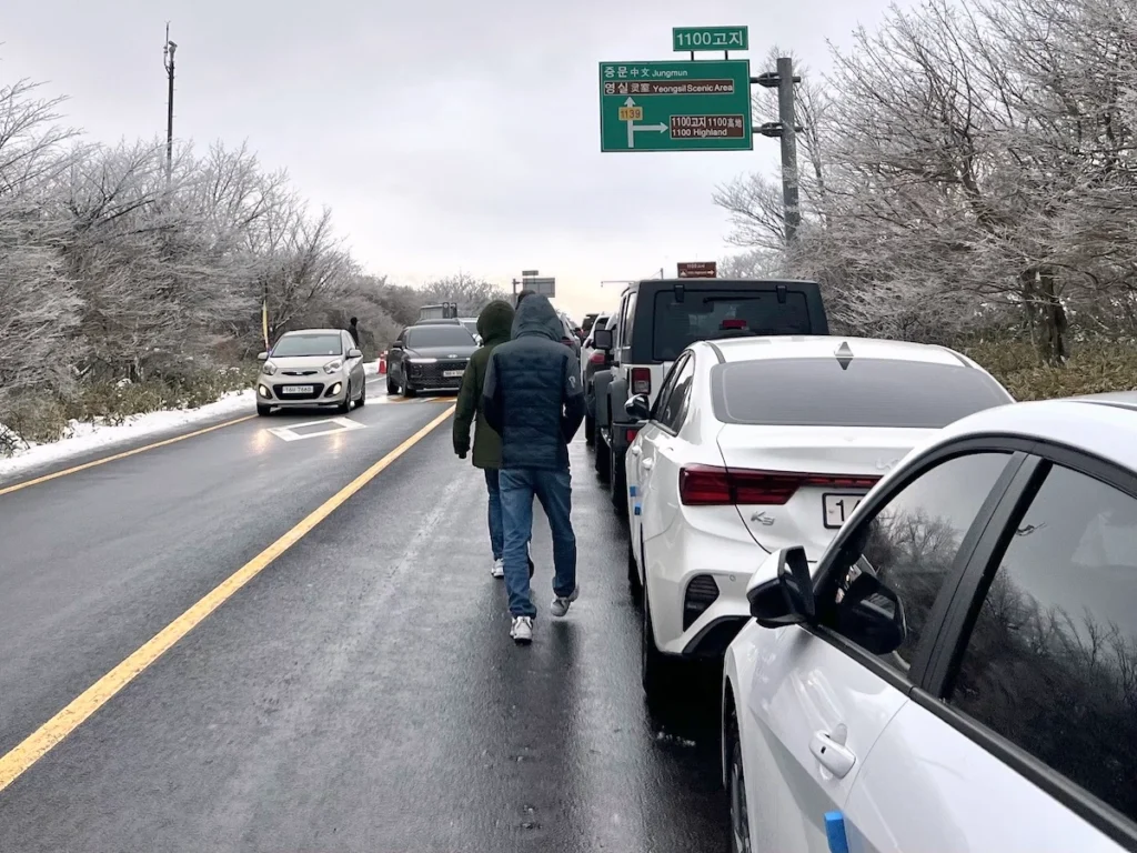 1100道路 路邊停車